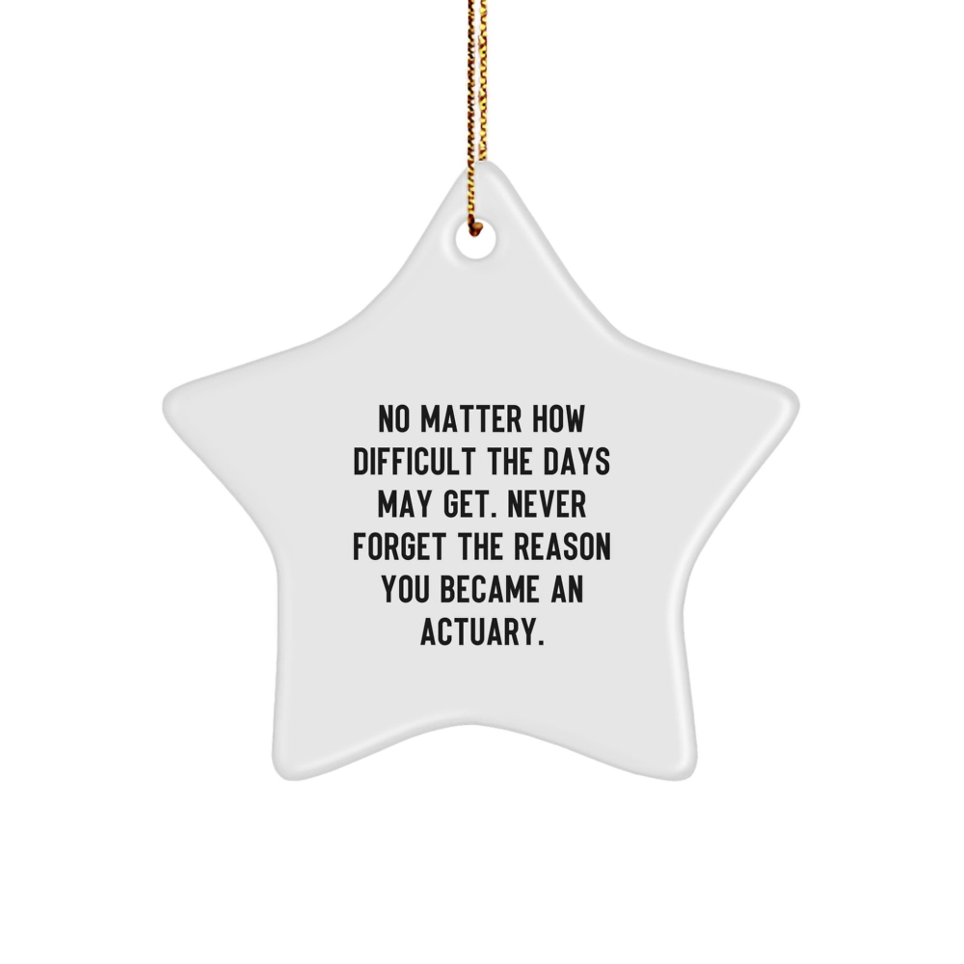 Actuary Ornament Gift for Him – Never Forget Why You Became an Actuary - Image 1