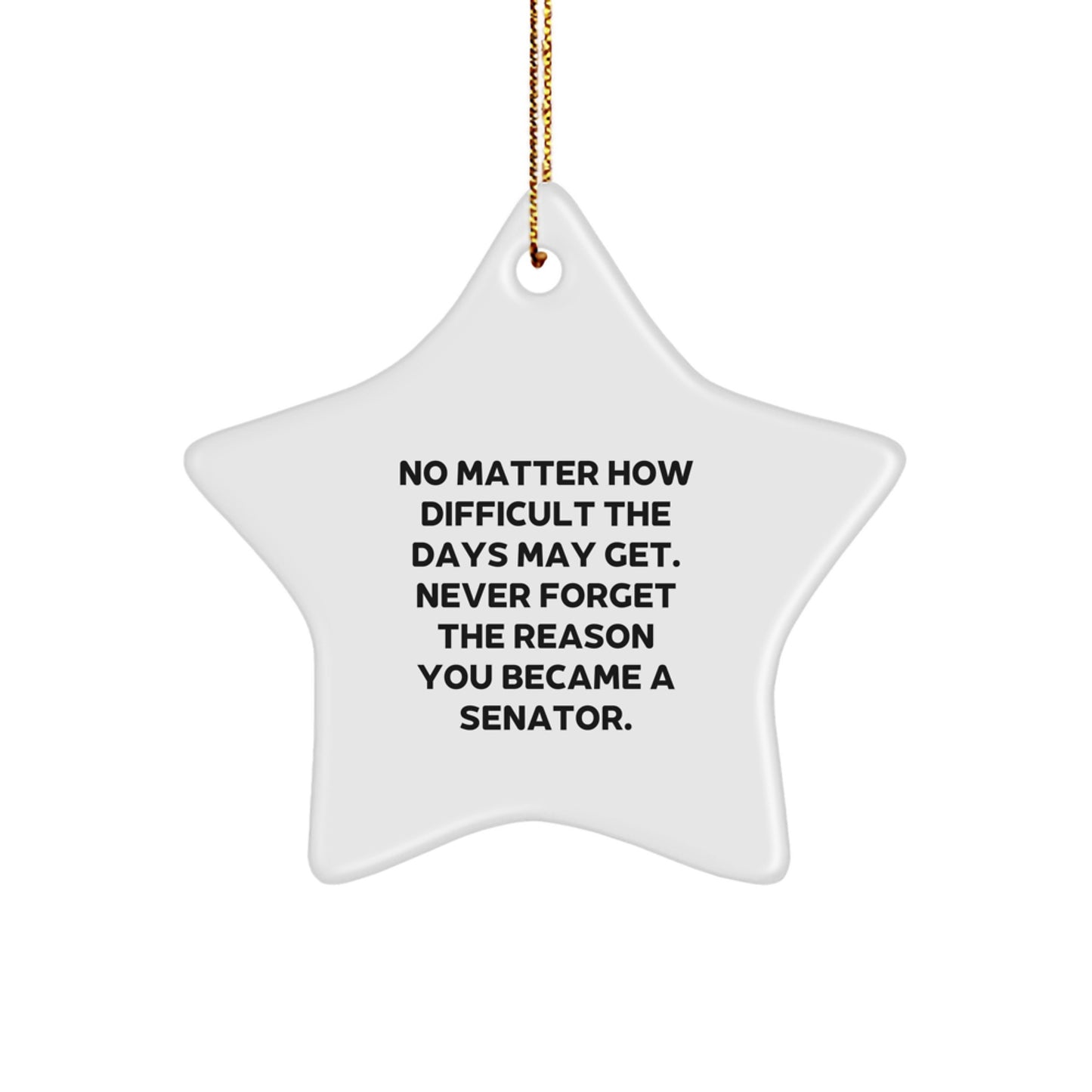 Star Christmas Ornament Idea Senator Never Forget the Reason Gift - Image 1