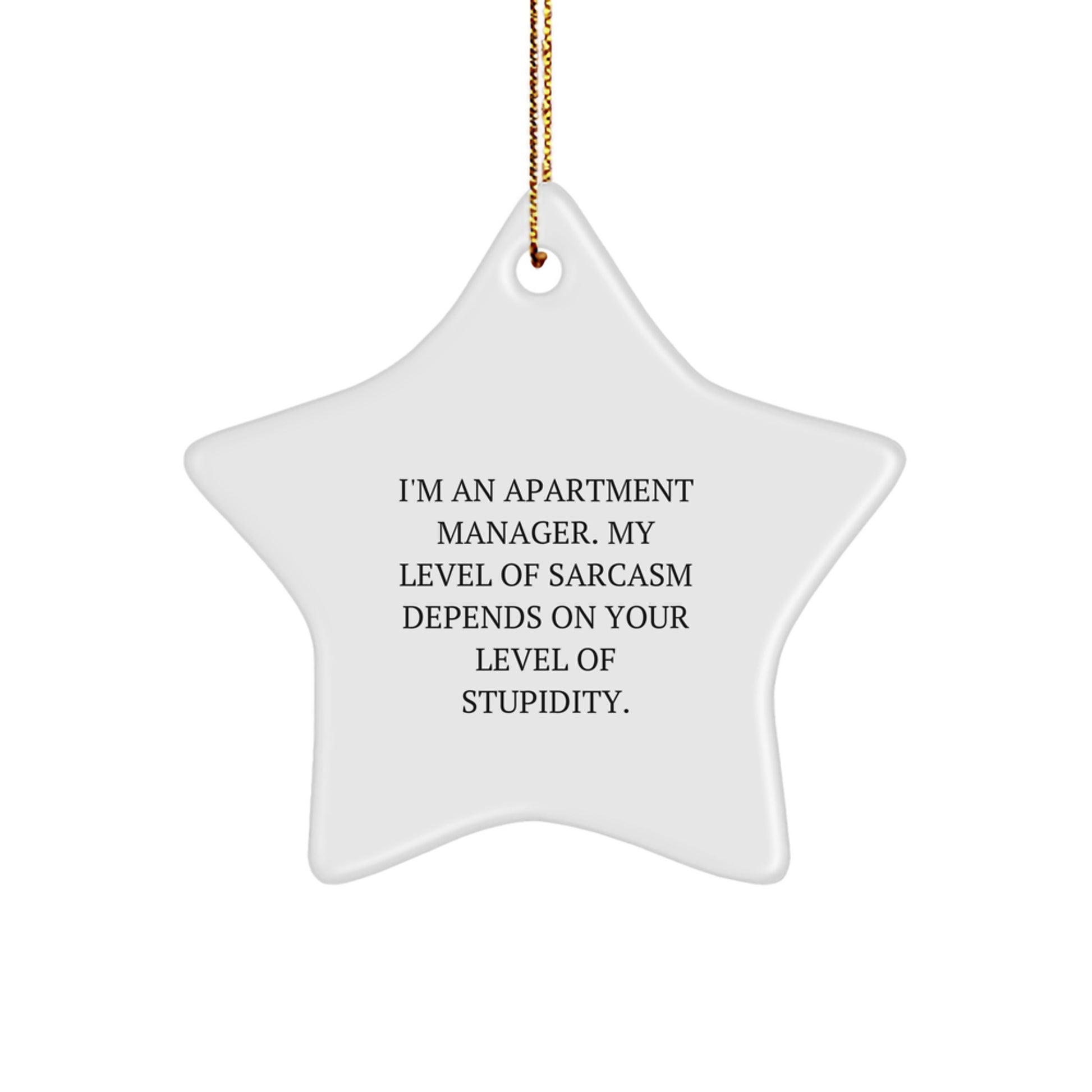 Funny Apartment Manager Gifts - Gifts from Friends for Apartment Manager with Sarcasm Quote, Star Ornament for Christmas Unique Gifts - Image 1