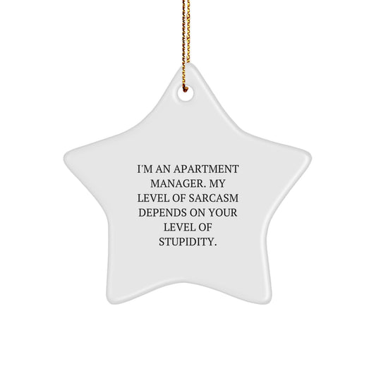 Funny Apartment Manager Gifts - Gifts from Friends for Apartment Manager with Sarcasm Quote, Star Ornament for Christmas Unique Gifts - Image 1