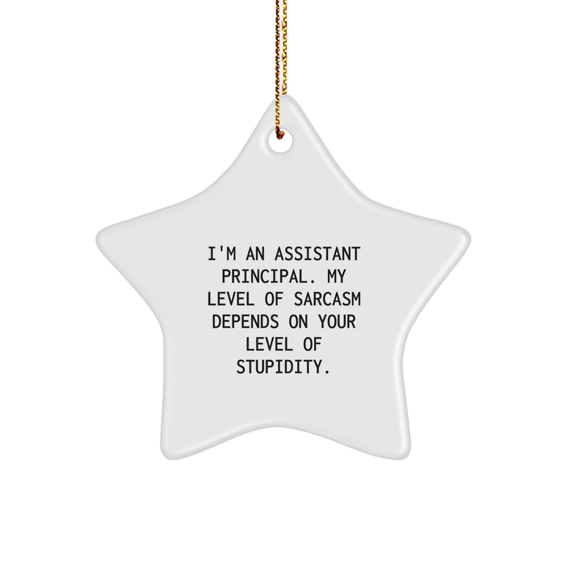 Funny Assistant Principal Gifts from Friends - I'm An Assistant Principal. 'My Level Of Sarcasm Depends On Your Level Of Stupidity.' - Star Ornament for Christmas - Image 1