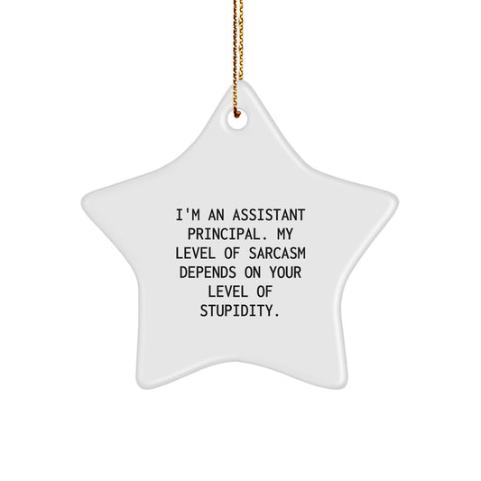 Funny Assistant Principal Gifts from Friends - I'm An Assistant Principal. 'My Level Of Sarcasm Depends On Your Level Of Stupidity.' - Star Ornament for Christmas - Image 1