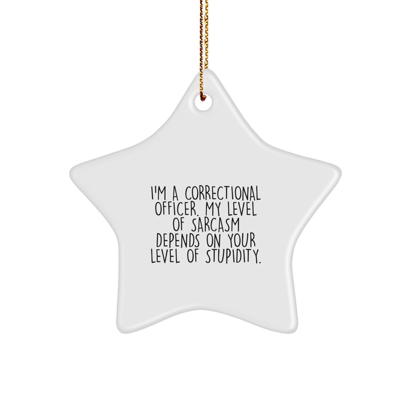 Correctional Officer Gifts from Family - Funny Sarcasm Star Ornament, Christmas Unique Gifts for Correctional Officer Men - Image 1