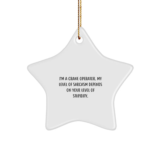 Funny Crane Operator Gifts, Star Ornament for Crane Operator, 'I'm A Crane Operator. My Level Of Sarcasm Depends On Your Level Of Stupidity' - Christmas Unique Gifts from Friends - Image 1