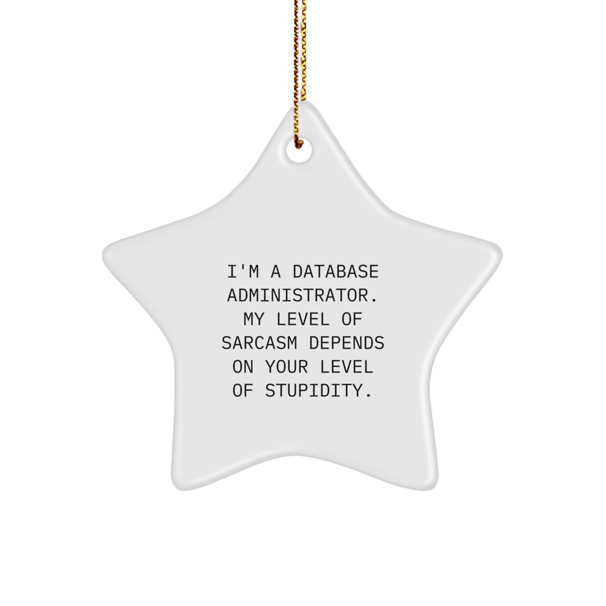 Database Administrator Gifts from Friends or Coworkers - Funny Star Ornament for Christmas - Image 1
