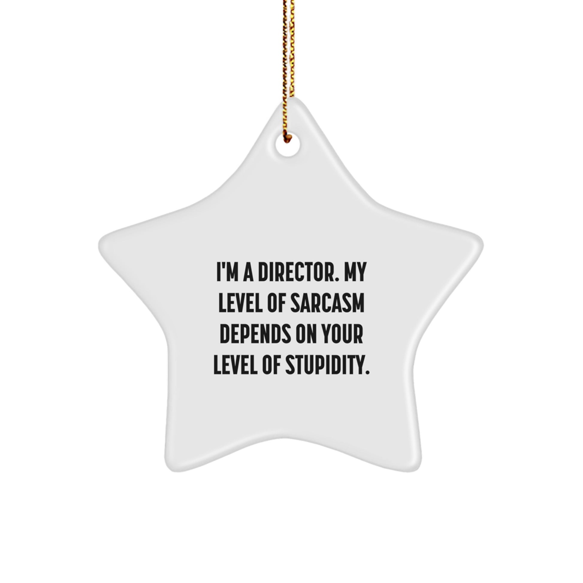 Funny Gifts from Friends for Director Star Ornament, Sarcasm Level Decoration, Christmas Unique Gifts - Image 1