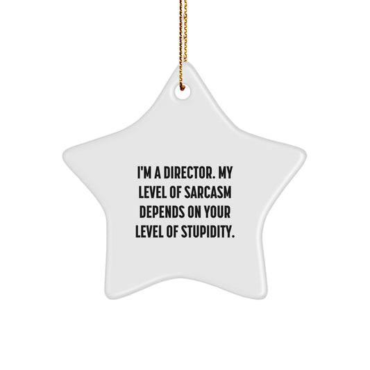 Funny Gifts from Friends for Director Star Ornament, Sarcasm Level Decoration, Christmas Unique Gifts - Image 1