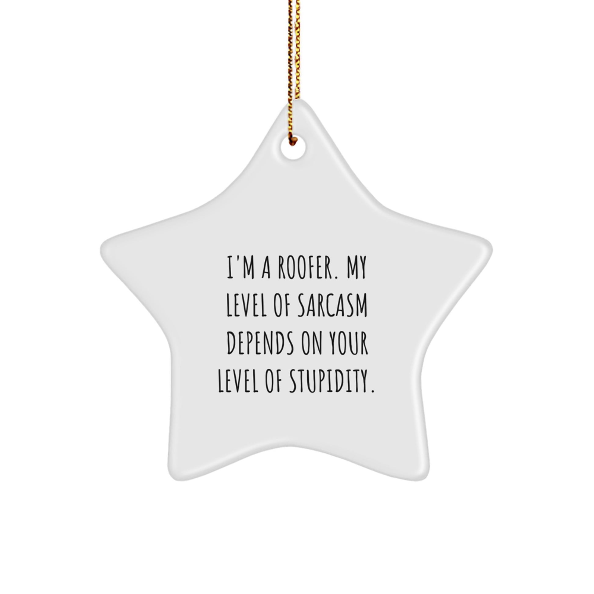 Funny Roofer Gifts from Friends for Men - Star Ornament with Sarcasm Level Quote - Christmas Unique Decorations - Image 1