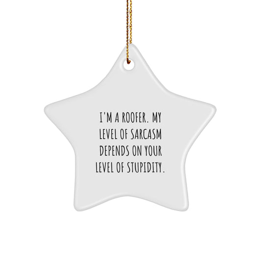 Funny Roofer Gifts from Friends for Men - Star Ornament with Sarcasm Level Quote - Christmas Unique Decorations - Image 1