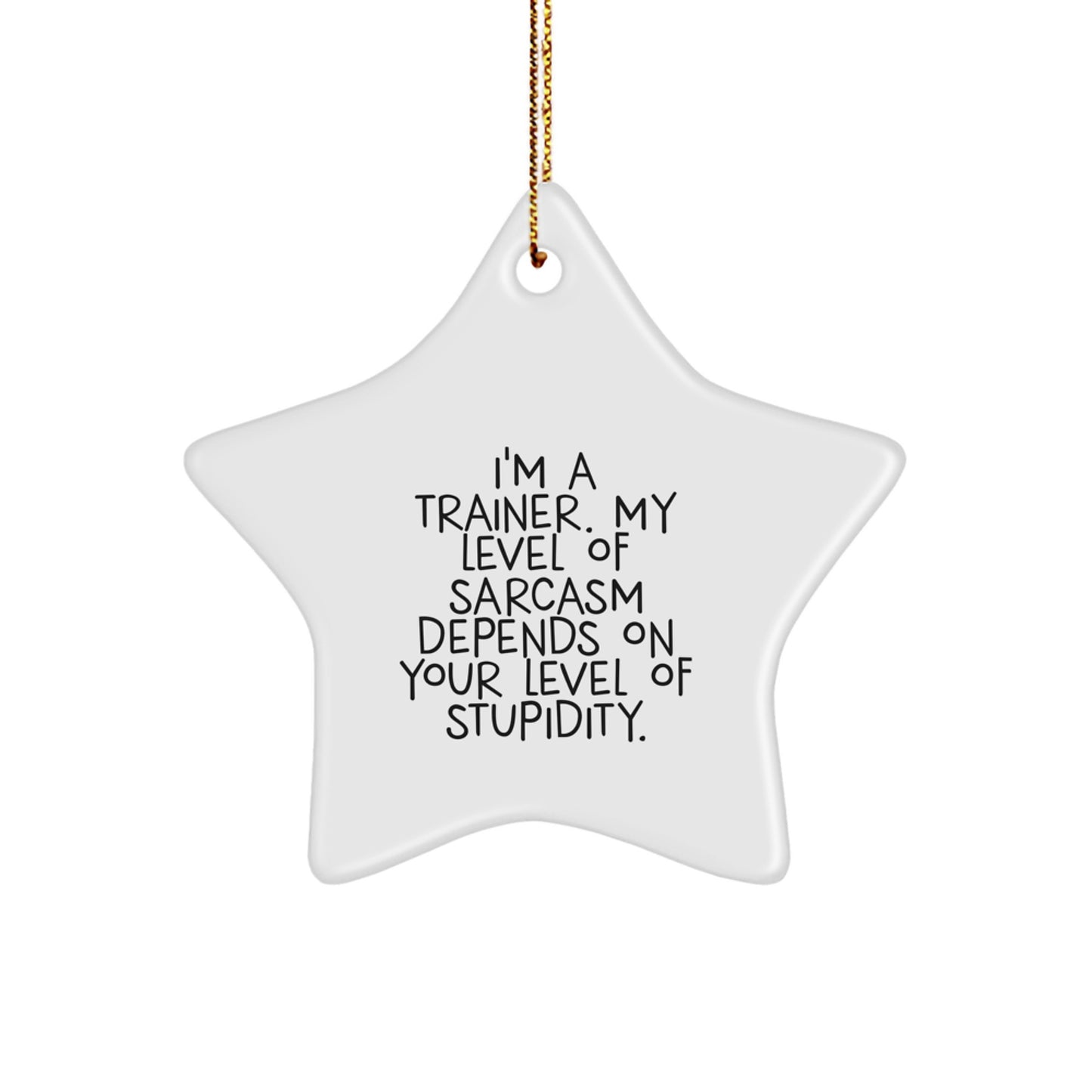 Funny Trainer Gifts from Men for Trainers, Star Ornament Christmas Unique Decor, Inspirational Sarcasm Quote - Image 1