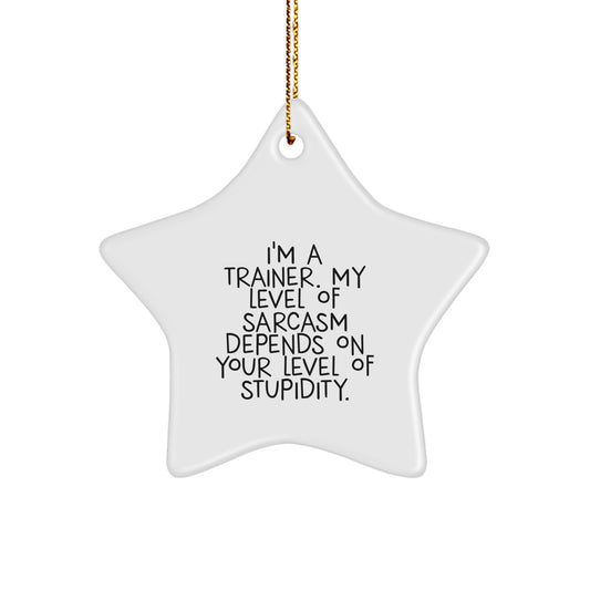 Funny Trainer Gifts from Men for Trainers, Star Ornament Christmas Unique Decor, Inspirational Sarcasm Quote - Image 1
