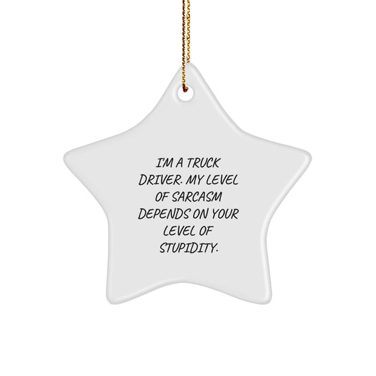 Funny Truck Driver Star Ornament Gifts from Friends, Men, Women, Coworkers, Family - 'I'm A Truck Driver. My Level Of Sarcasm Depends On Your Level Of Stupidity.' - Image 1