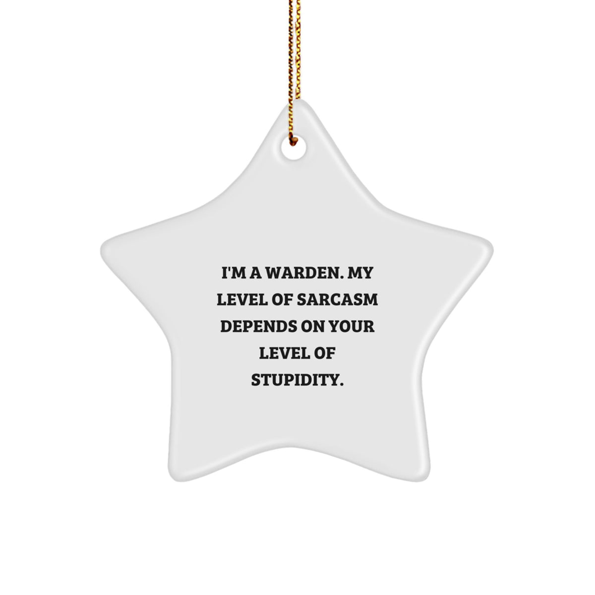 Warden Star Ornament Keepsake Christmas Gift for Him Surprise - Image 1