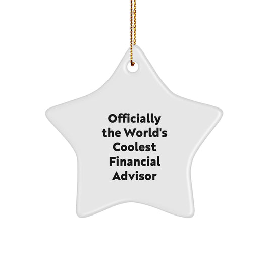 Funny 'World's Coolest Financial Advisor' Star Ornaments for Financial Advisors Gifts from Friends, Christmas Unique Gifts for Financial Advisors - Image 1