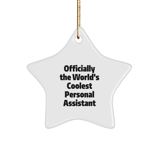 Personal Assistant Gifts from Men, Funny Officially The World's Coolest Personal Assistant Star Ornament for Friends, Christmas Unique Gifts for Family - Image 1