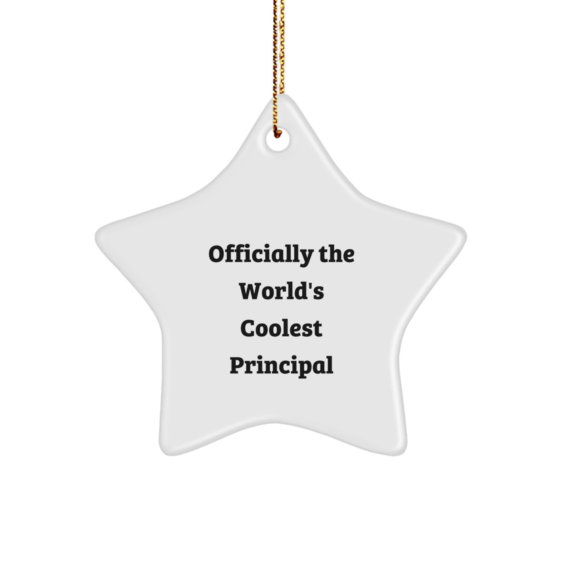 Funny Principal Gifts from Men, Funny Star Ornament for Christmas Unique Gifts, Gifts for the World's Coolest Principal - Image 1
