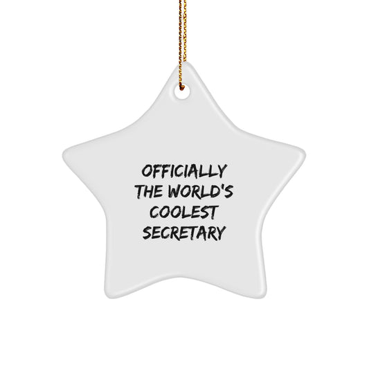 Star Christmas Ornament Gift for Coworkers – World's Coolest Secretary - Image 1