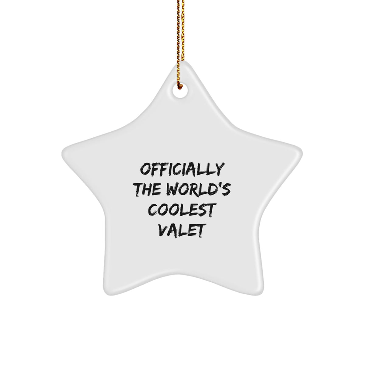 Christmas Gift for Her Valet Star Ornament Present Officially Coolest - Image 1