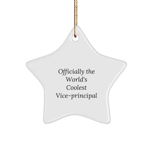 Funny Vice-principal Gifts from Men to Officially The World's Coolest Vice-principal at Christmas, Star Ornament for Vice-principal, Funny Quote on Star Ornament, Gifts for Vice-principal - Image 1