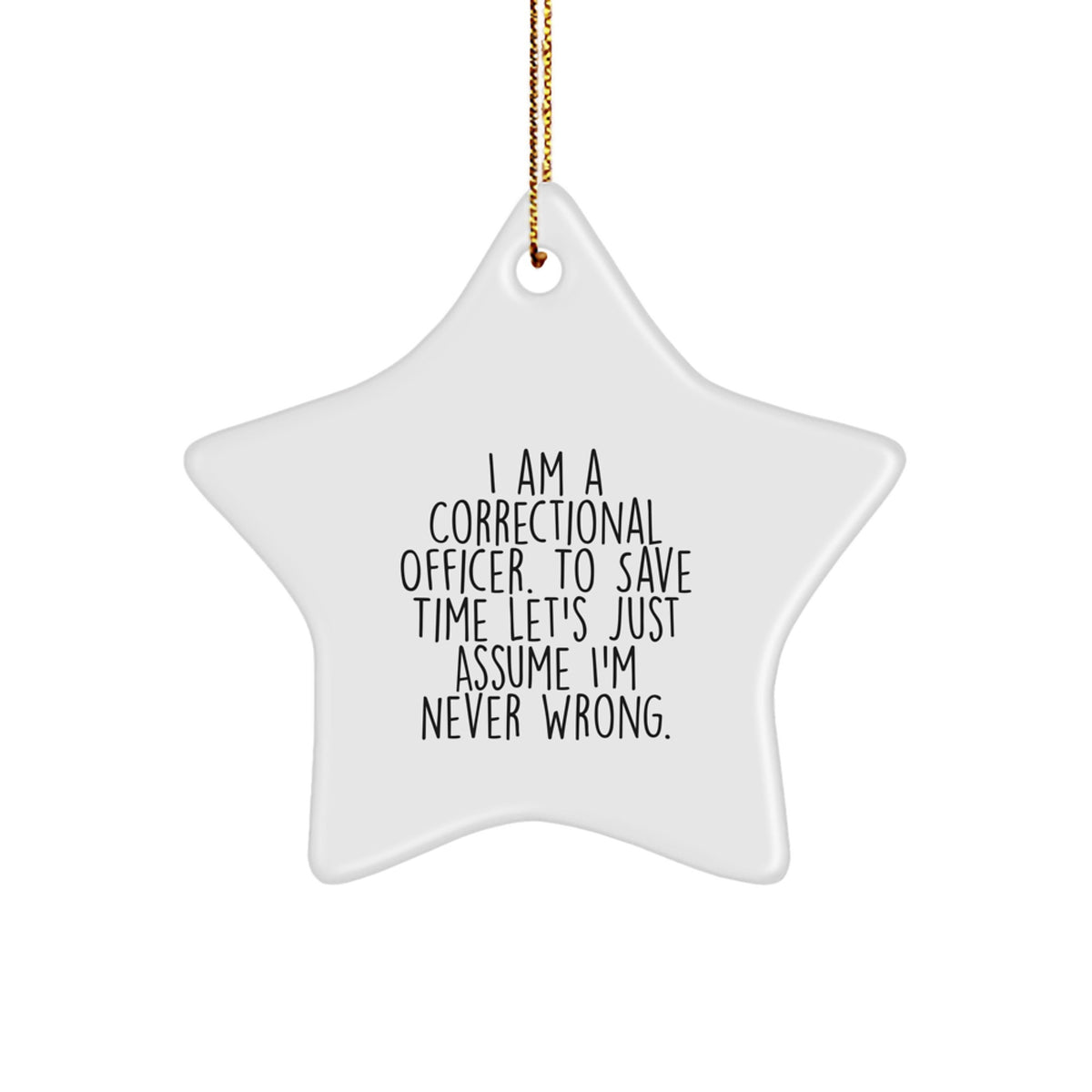 Correctional Officer (Never Wrong) Ornament for Him Christmas Unique Gift - Image 1
