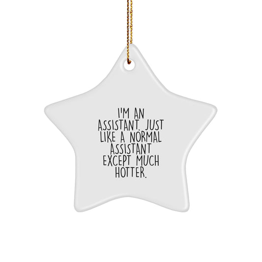 Funny Assistant Star Ornament Gifts from Friends for Assistant - Hotter than Normal Assistant - Unique Christmas Unique Gifts - Image 1