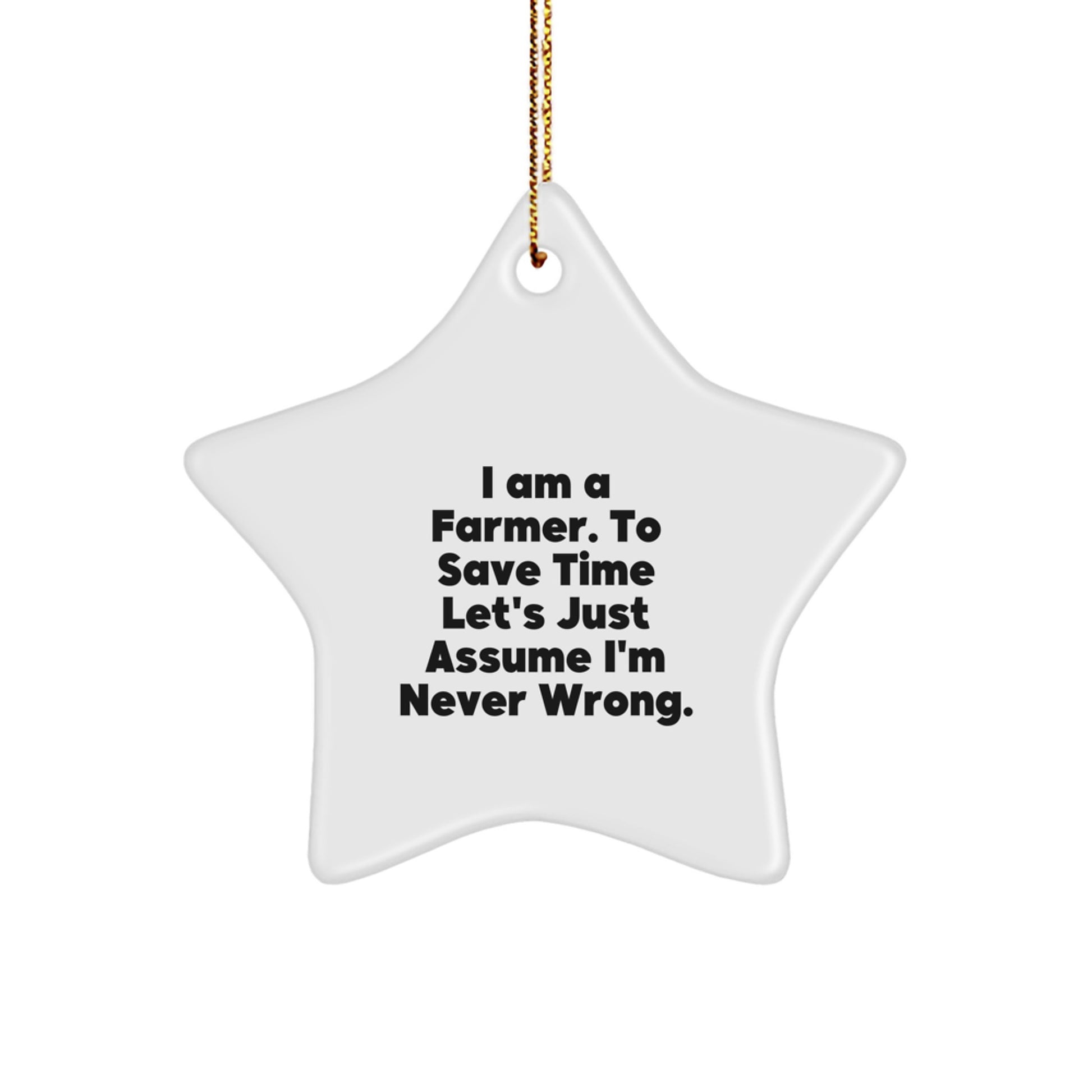 Christmas Gift for Her Farmer Star Ornament Present - I Am A Farmer - Image 1