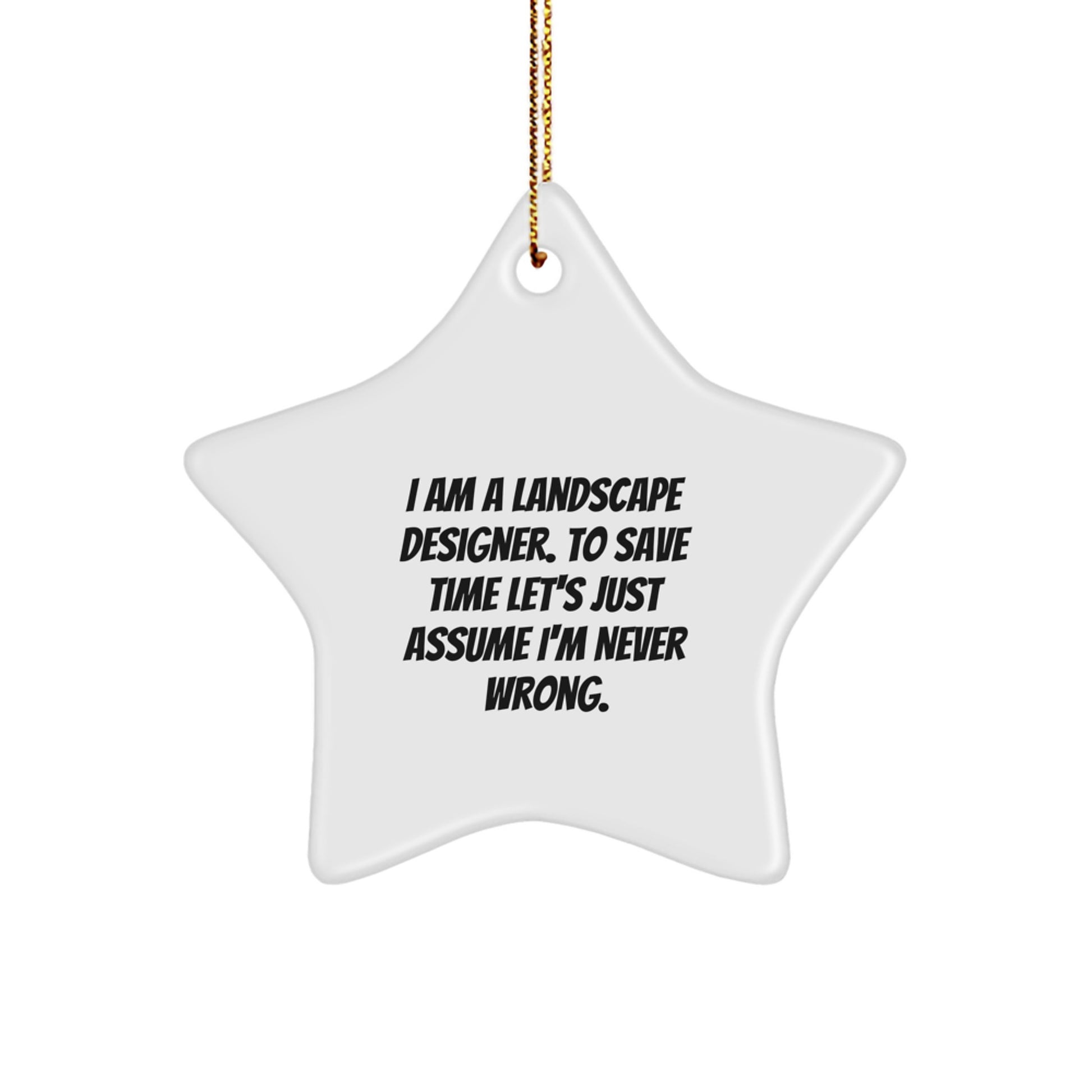 Funny Star Ornament Gifts from Friends to Landscape Designer, Christmas Unique Decorations, I'm Never Wrong Star Shaped Ornament, Gifts for Landscape Designers, Holiday Decorations for Men and Women - Image 1