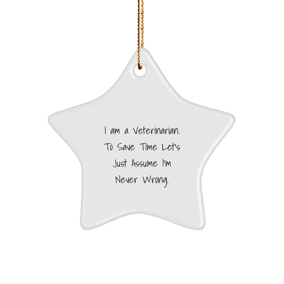 Christmas Gift Veterinarian Christmas Ornament - Never Wrong Present - Image 1