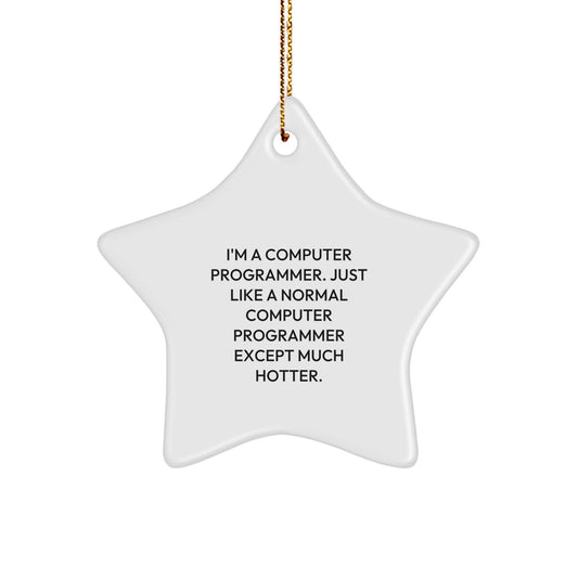 Funny Computer Programmer Gifts for Men, Star Ornament with Hot Programmers Quote, Unique Christmas Unique Gifts from Friends - Image 1