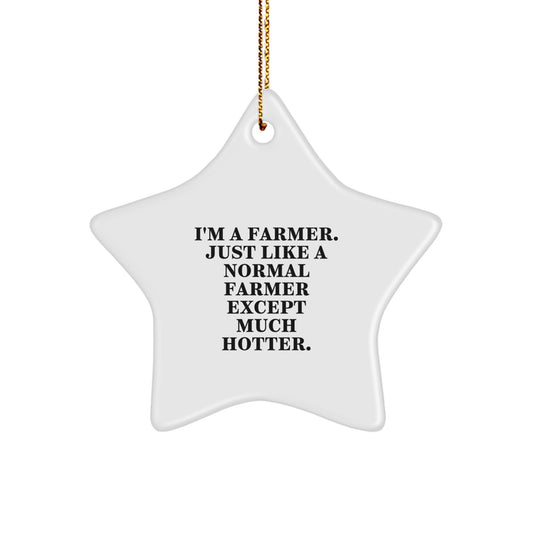 Funny Farmer Star Ornament, Gifts for Farmer Men, Christmas Unique Gifts from Friends, Family, or Coworkers - Image 1