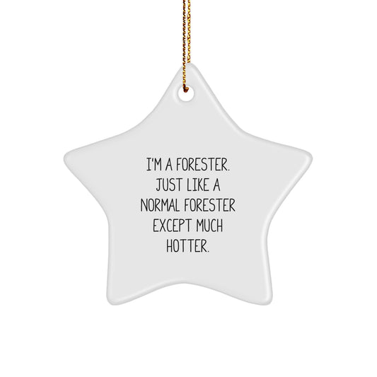 Funny Forester Gifts - Star Ornament for Forester Enthusiast - Christmas Unique Gifts from Friends to Forester - Image 1