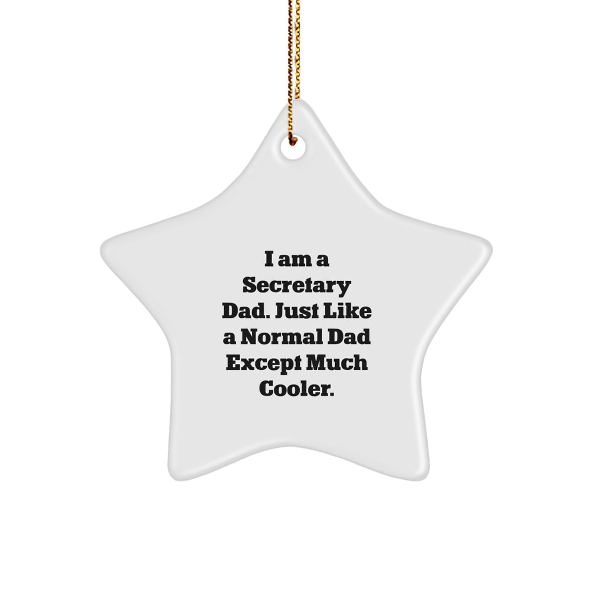 Secretary Dad Keepsake Christmas Ornament for Him Holiday Gift - Image 1