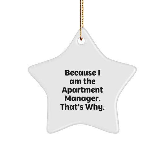Funny Inspirational Gifts from Friends for Apartment Manager Star Ornament Christmas Unique Decorations - Image 1