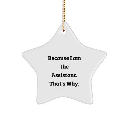 Christmas Ornament Gift for Coworkers - Witty Assistant Idea Because I - Image 1