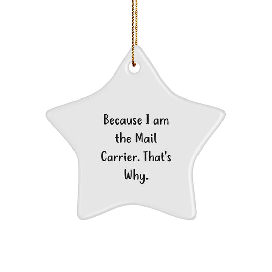 Funny Mail Carrier Gifts from Family for Christmas Star Ornament Because I Am The Mail Carrier. That's Why. - Image 1