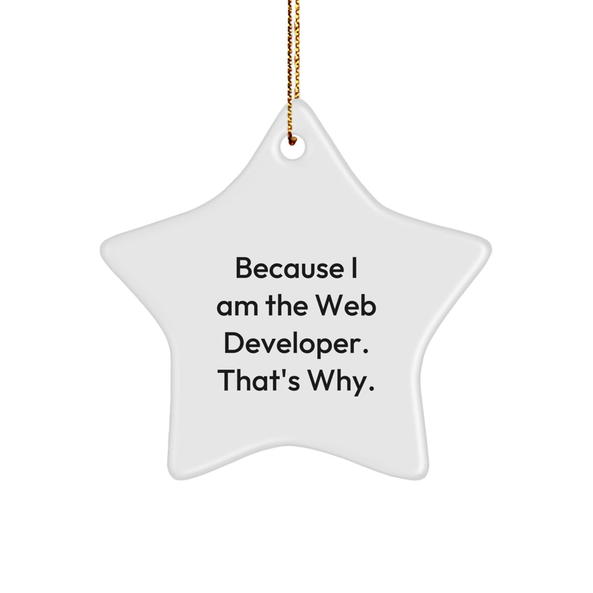 Collectible Web Developer Star Ornament for Neighbors Christmas Unique Gift - Image 1