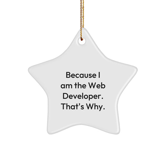 Collectible Web Developer Star Ornament for Neighbors Christmas Unique Gift - Image 1