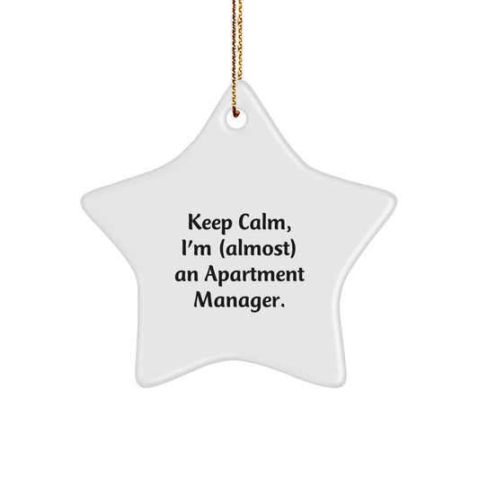 Funny Star Ornament for Apartment Manager Gifts, Christmas Unique Gifts from Friends, Coworkers, Family - Keep Calm I'm Almost An Apartment Manager - Image 1