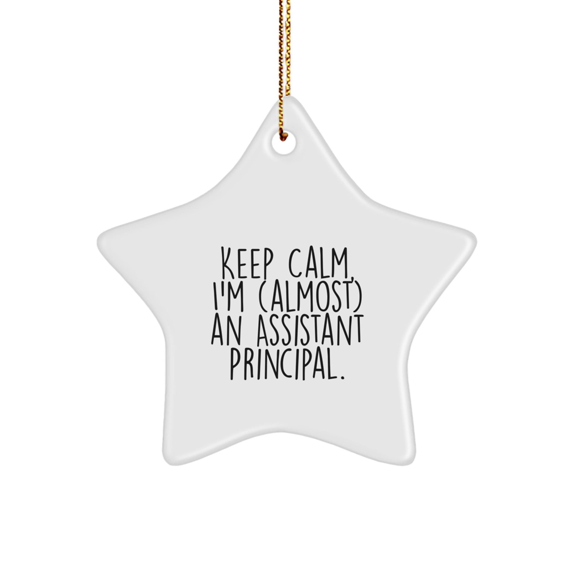 Assistant Principal Keepsake Christmas Ornament for Him Holiday Gift - Image 1
