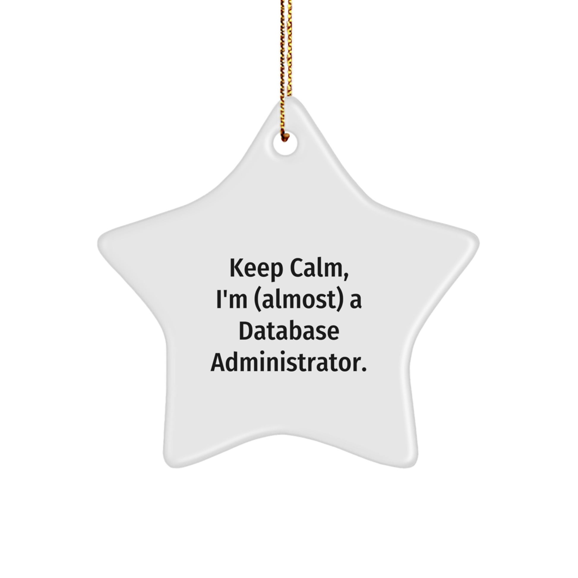 Database Administrator Star Ornament Idea for Coworkers Christmas Gift - Image 1