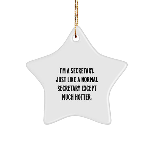 Funny Secretary Star Ornament Gifts from Friends for Secretary Secretary Star Ornament Christmas Unique Gifts - Image 1