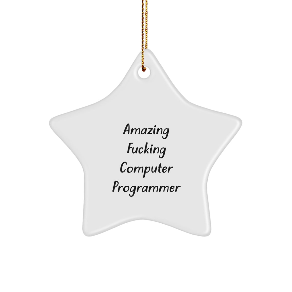 Bold Computer Programmer Xmas Ornament Gift for Friend Novelty Surprise - Image 1