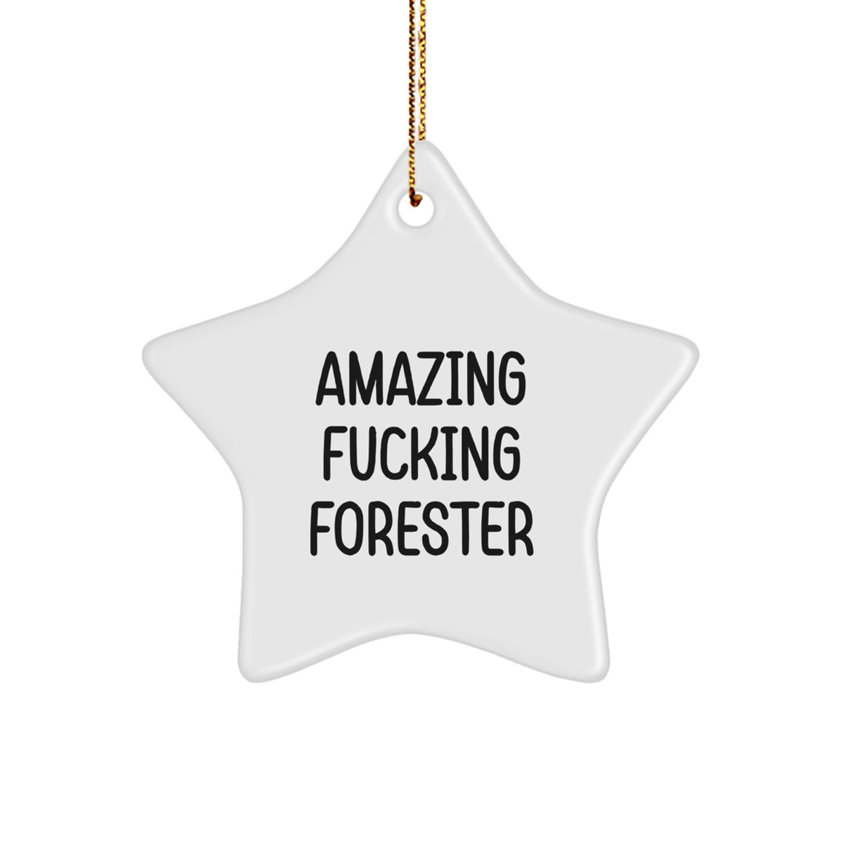 Christmas Gift Forester Star Ornament for Her Present - Image 1