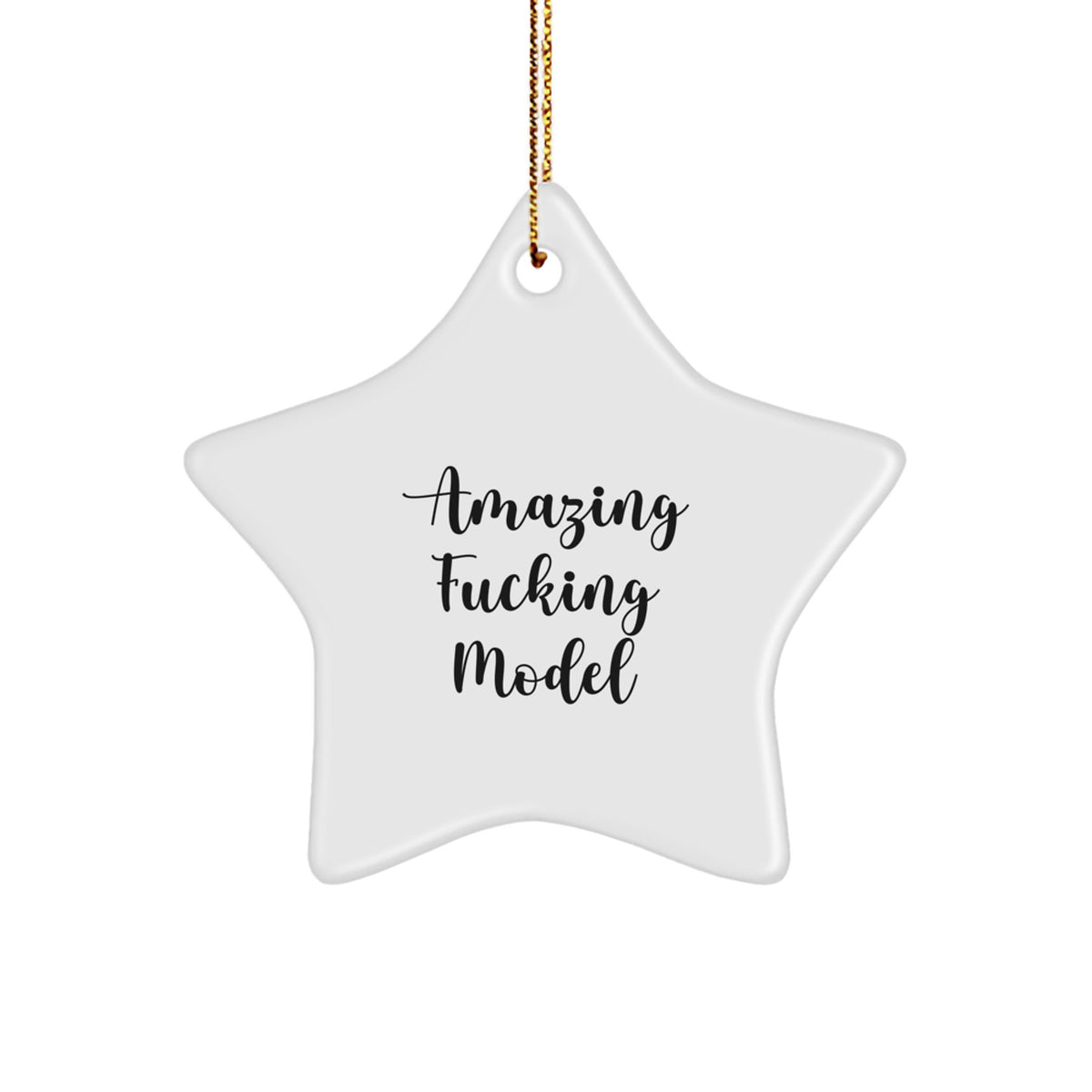 Christmas Gift Model Star Ornament for Her Present - Image 1