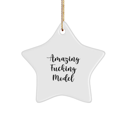 Christmas Gift Model Star Ornament for Her Present - Image 1