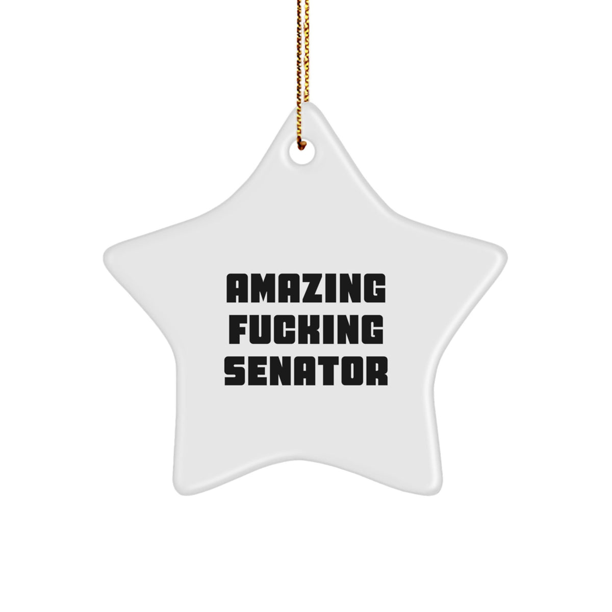 Senator Keepsake Christmas Ornament for Him Gift – Surprise Star - Image 1