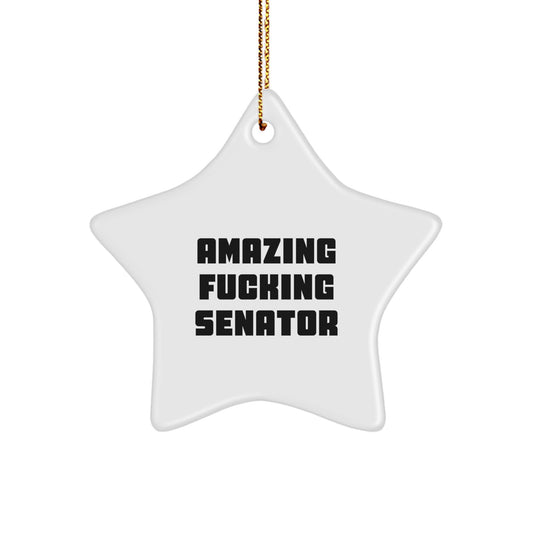 Senator Keepsake Christmas Ornament for Him Gift – Surprise Star - Image 1