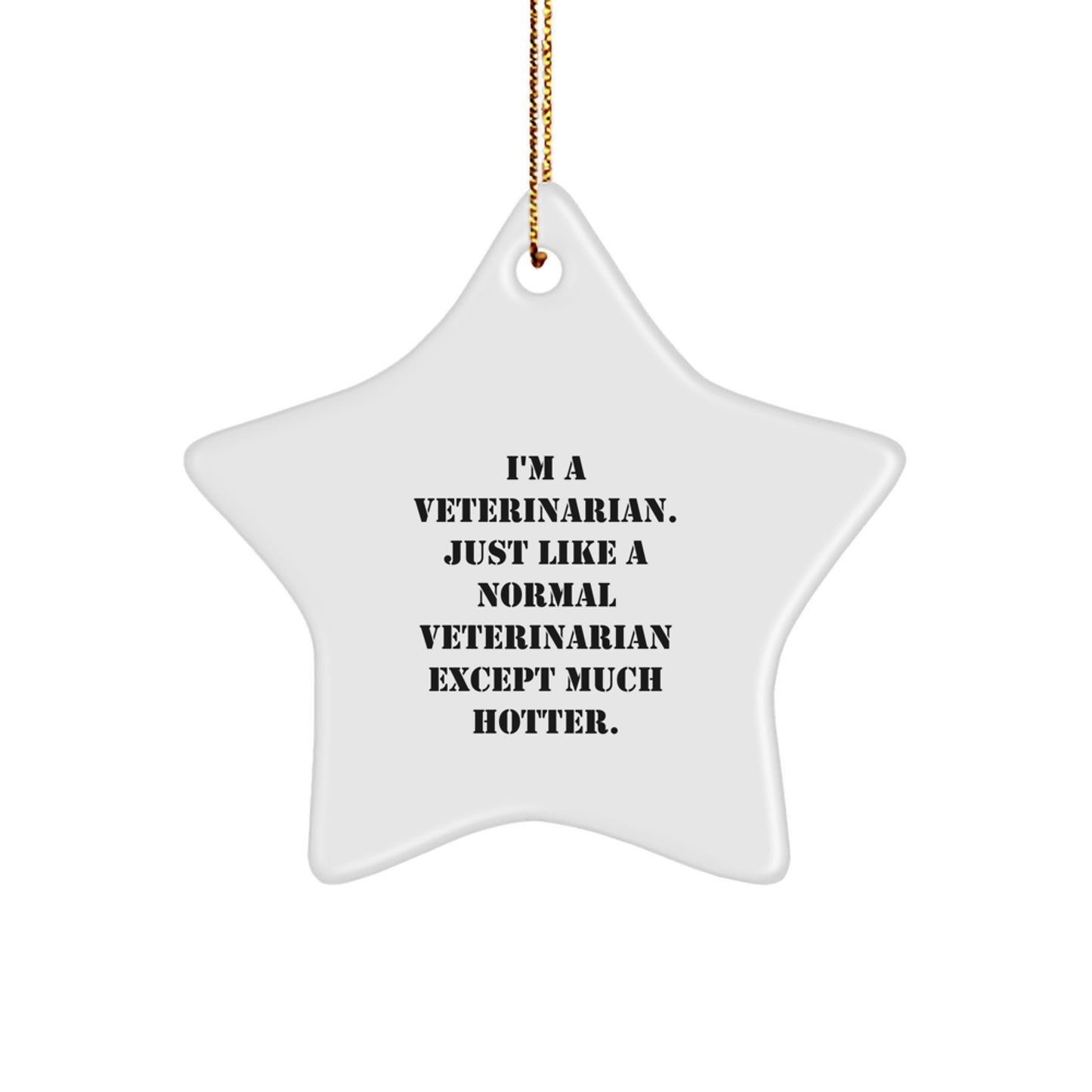 Funny Veterinarian Gifts from Men to Women - Veterinarian Star Ornament for Christmas Unique Gifts - I'm A Veterinarian Except Much Hotter. - Image 1