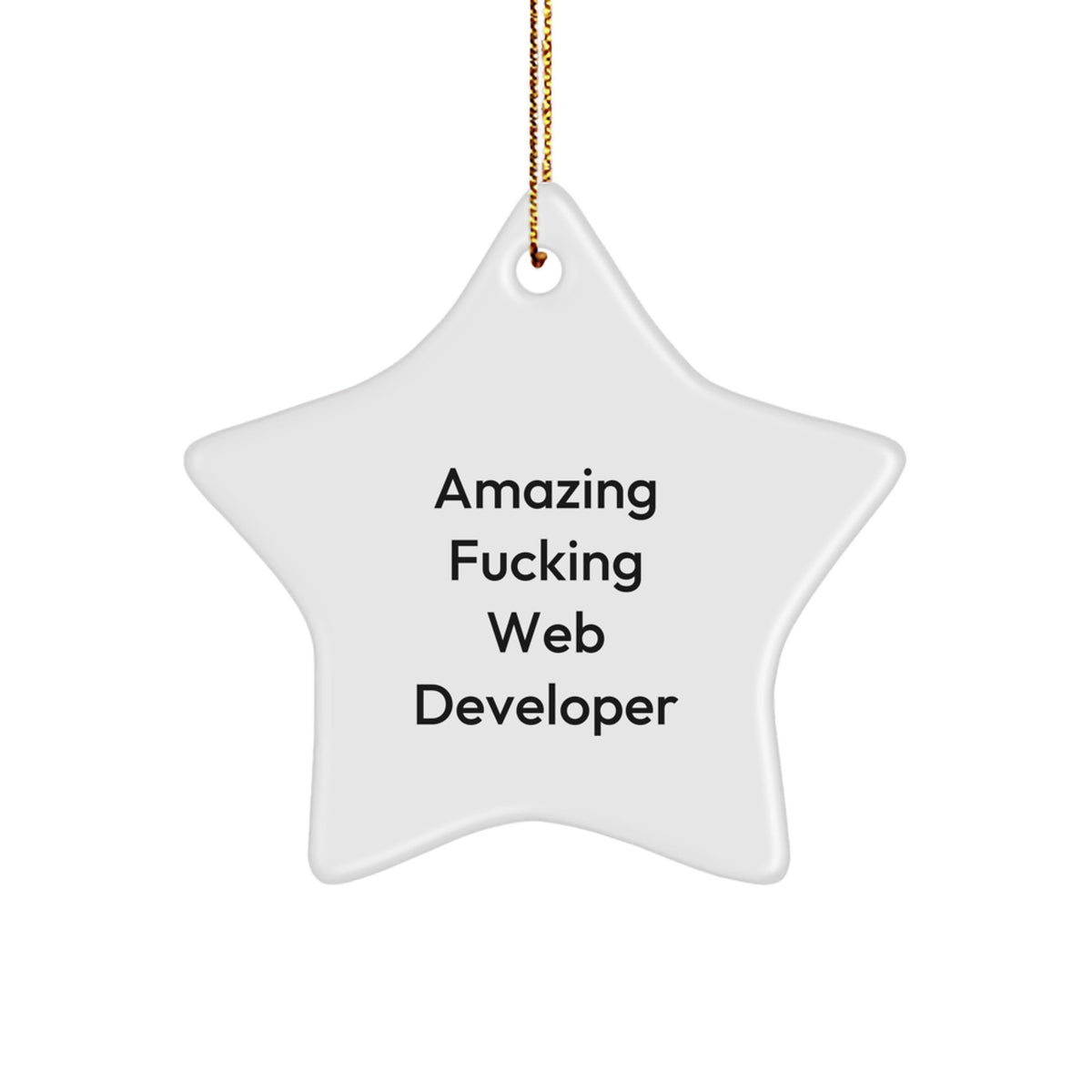 Web Developer Star Ornament Gift Amazing F--king Developer for Coworkers - Image 1