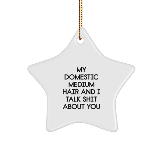 Funny Domestic Medium Hair Cat Star Ornament Gifts from Friends for Christmas, Sassy Decorative Star Keepsake, White Star Shaped with Gold Cord - Image 1